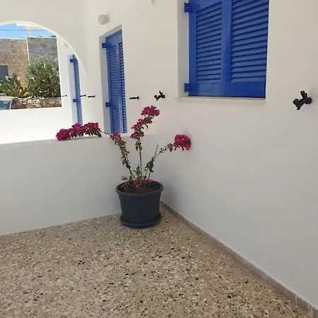 Apartment Family House Near